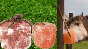 Animal lick salt block with rope for cattle and horses